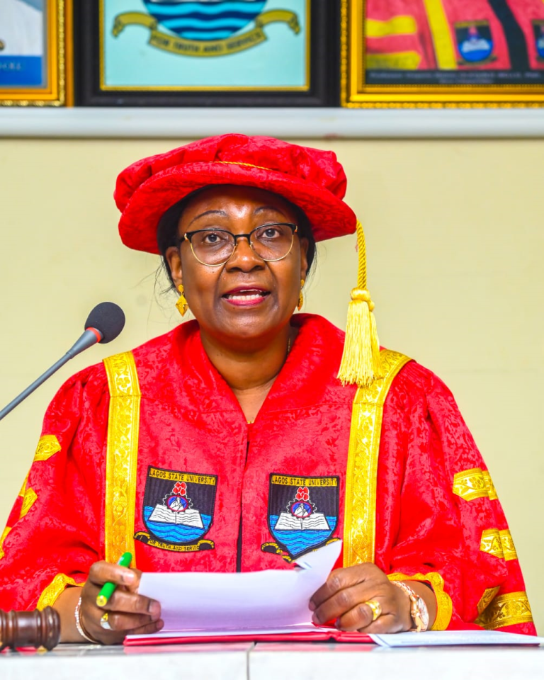 Professor Ibiyemi Olatunji-Bello: The Woman Who Bent a University Toward Excellence, By Olabode Opeseitan